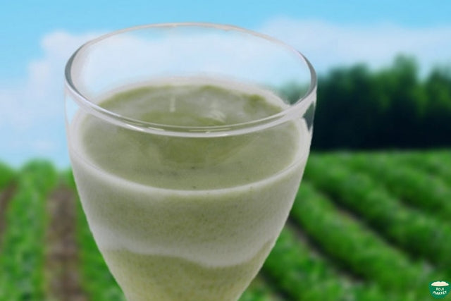 Amazake Green Juice