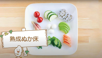 BLOWOUT SALE - Best by August 31, 2026 - Nukadoko, ready to use fermented rice bran bed for pickling vegetables