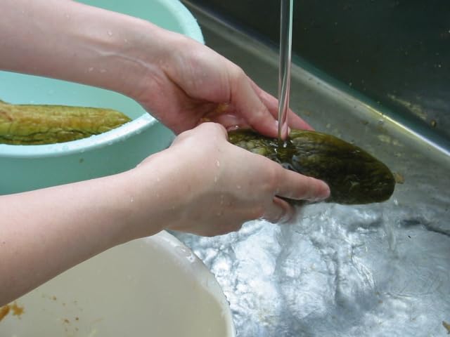 Sake lees for pickles 2kg（Sake kasu 2kg)